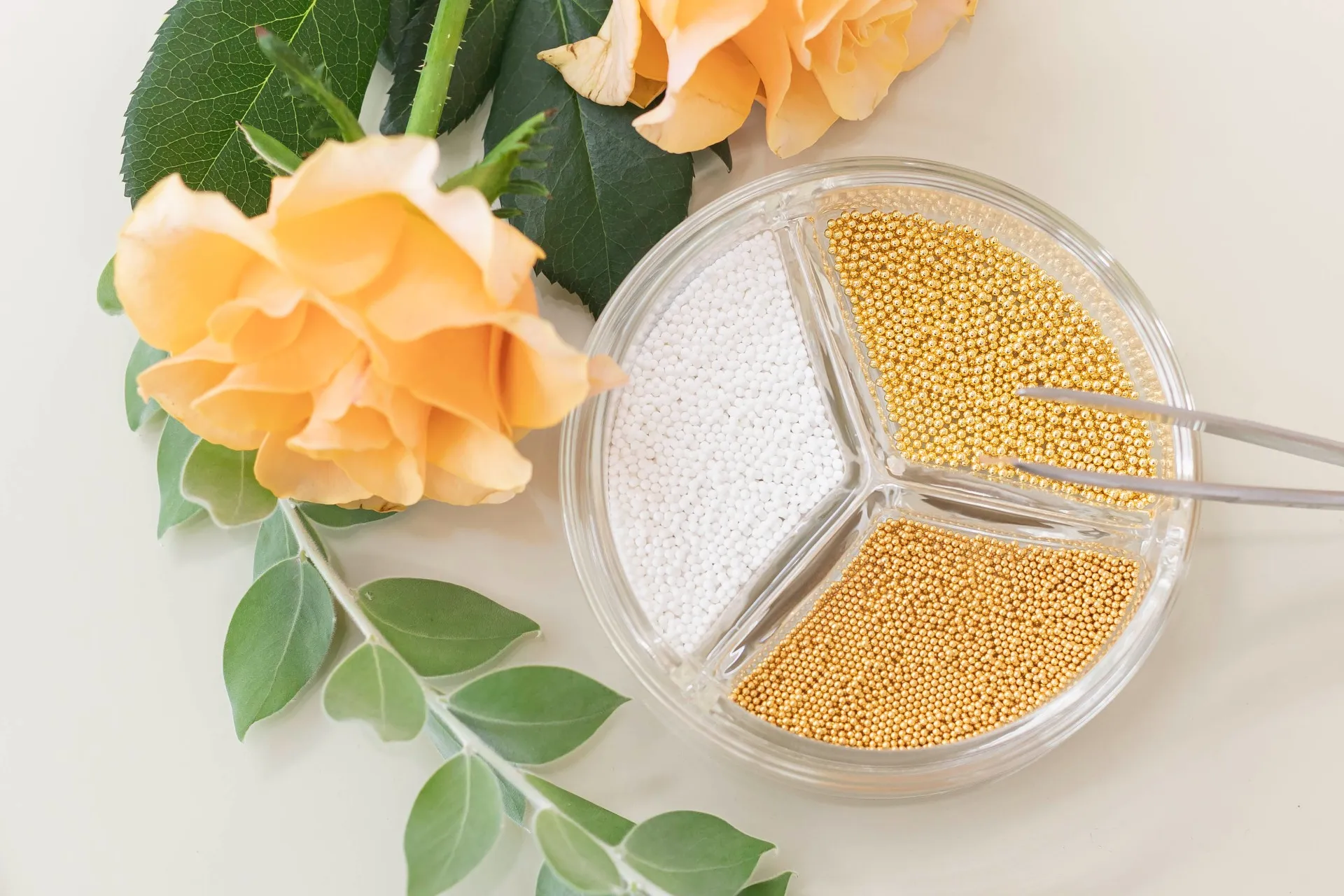 耳つぼ体験+初回カウンセリング